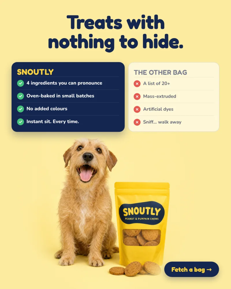 Sample pet treats ad for Snoutly